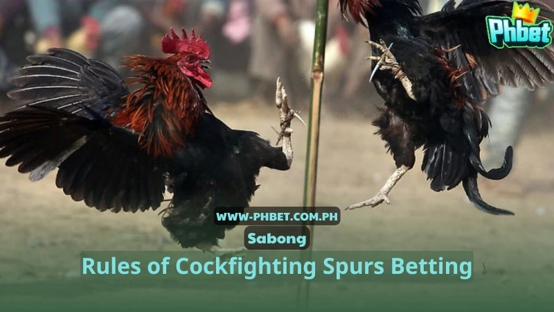 Rules of Cockfighting Spurs Betting