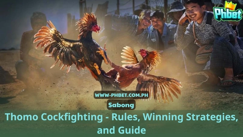 Thomo Cockfighting - Rules, Winning Strategies, and Guide