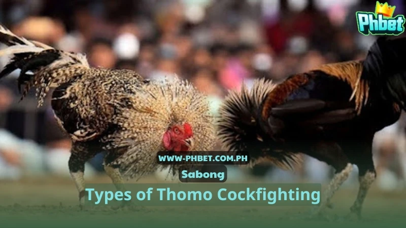 Types of Thomo Cockfighting